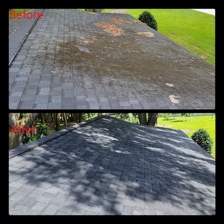Roof soft washing how long do results last in northeast florida